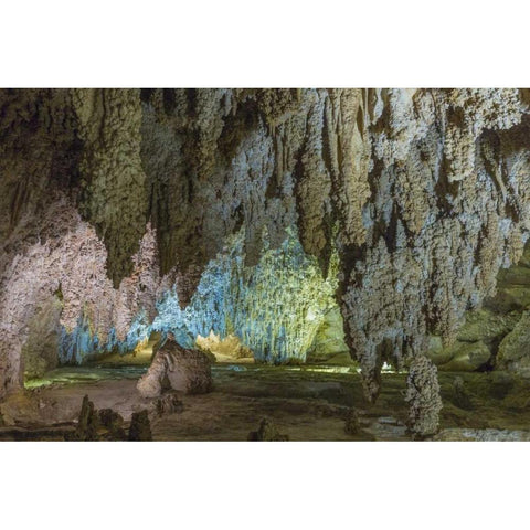 New Mexico, Carlsbad Caverns Scenic of cavern Black Modern Wood Framed Art Print by Paulson, Don