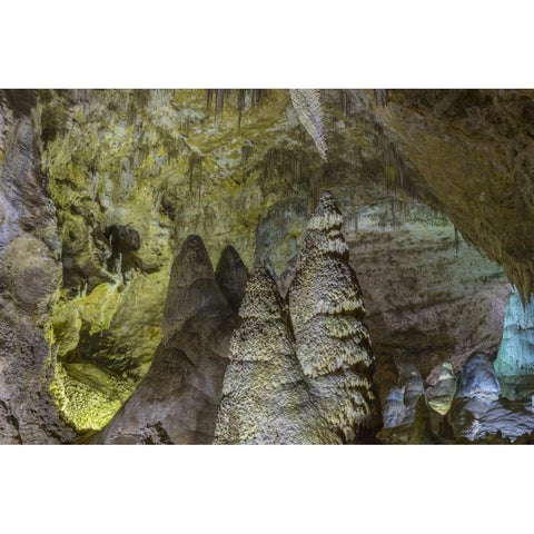 New Mexico, Carlsbad Caverns Scenic of cavern Black Modern Wood Framed Art Print with Double Matting by Paulson, Don
