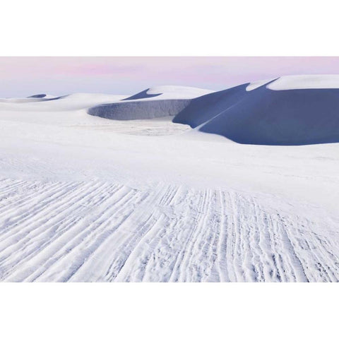 New Mexico, White Sands NM Desert landscape Black Modern Wood Framed Art Print with Double Matting by Paulson, Don
