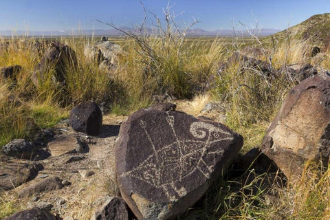 New Mexico, Three Rivers, Petroglyph on rock Black Ornate Wood Framed Art Print with Double Matting by Paulson, Don