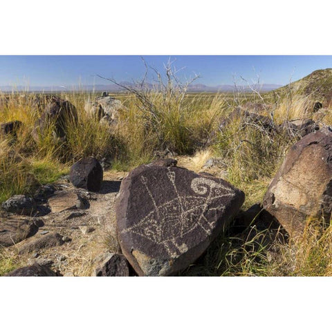 New Mexico, Three Rivers, Petroglyph on rock White Modern Wood Framed Art Print by Paulson, Don
