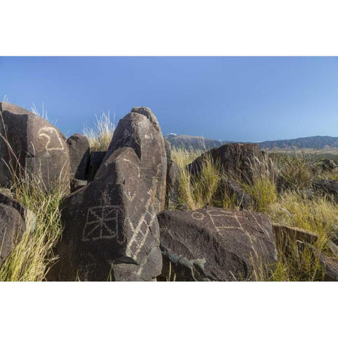 New Mexico, Three Rivers Petroglyph etchings Gold Ornate Wood Framed Art Print with Double Matting by Paulson, Don