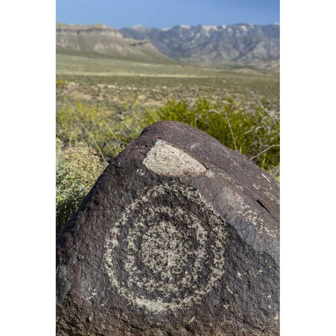New Mexico, Three Rivers, Petroglyph on rock White Modern Wood Framed Art Print by Paulson, Don