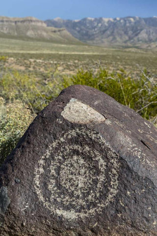 New Mexico, Three Rivers, Petroglyph on rock Black Ornate Wood Framed Art Print with Double Matting by Paulson, Don