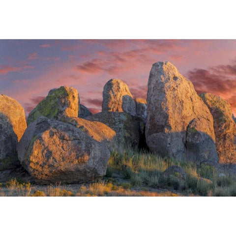 New Mexico, City of Rocks SP Sunset on boulders Black Modern Wood Framed Art Print by Paulson, Don