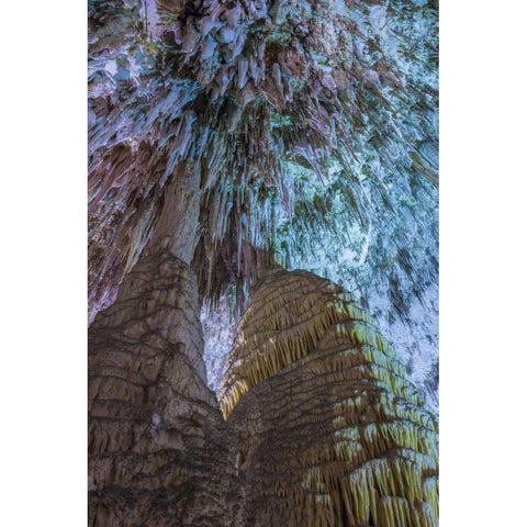 New Mexico, Carlsbad Caverns Scenic of cavern Gold Ornate Wood Framed Art Print with Double Matting by Paulson, Don