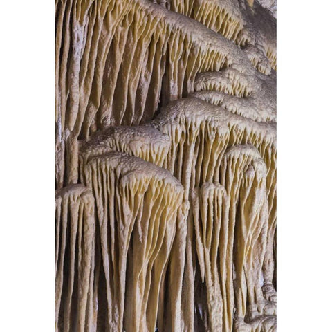 New Mexico, Carlsbad Caverns Limestone formation Black Modern Wood Framed Art Print by Paulson, Don