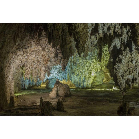 New Mexico, Carlsbad Caverns Scenic of cavern Gold Ornate Wood Framed Art Print with Double Matting by Paulson, Don