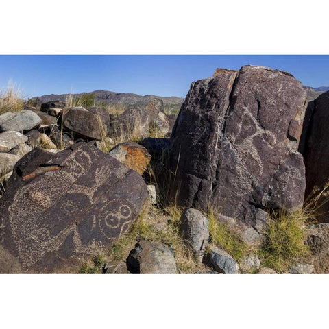 New Mexico, Three Rivers Petroglyph etchings Black Modern Wood Framed Art Print with Double Matting by Paulson, Don