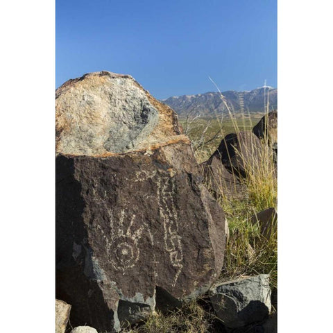 New Mexico, Three Rivers Petroglyph etchings Black Modern Wood Framed Art Print with Double Matting by Paulson, Don