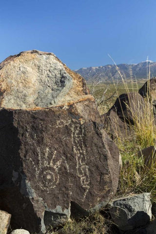 New Mexico, Three Rivers Petroglyph etchings White Modern Wood Framed Art Print with Double Matting by Paulson, Don