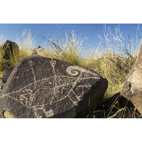 New Mexico, Three Rivers, Petroglyph on rock Black Modern Wood Framed Art Print by Paulson, Don