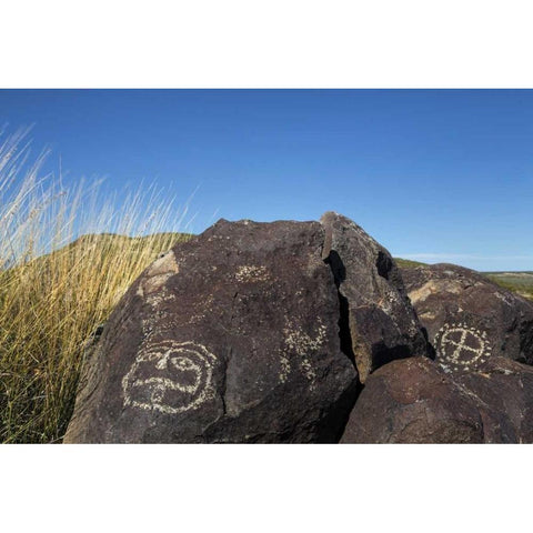 New Mexico, Three Rivers Petroglyph etchings Black Modern Wood Framed Art Print with Double Matting by Paulson, Don