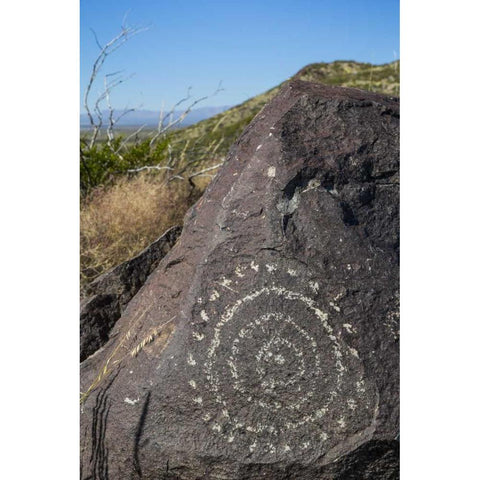 New Mexico, Three Rivers, Petroglyph on rock Gold Ornate Wood Framed Art Print with Double Matting by Paulson, Don