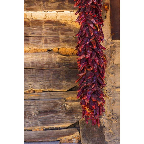 USA, New Mexico, Pinos Altos Ristas hung to dry Black Modern Wood Framed Art Print by Paulson, Don