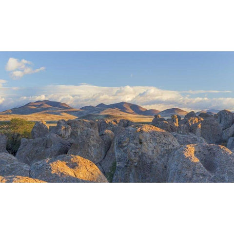 New Mexico, City of Rocks Landscape of boulders Gold Ornate Wood Framed Art Print with Double Matting by Paulson, Don