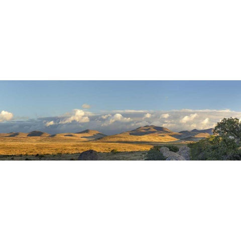 New Mexico, City of Rocks SP Panoramic composite Gold Ornate Wood Framed Art Print with Double Matting by Paulson, Don