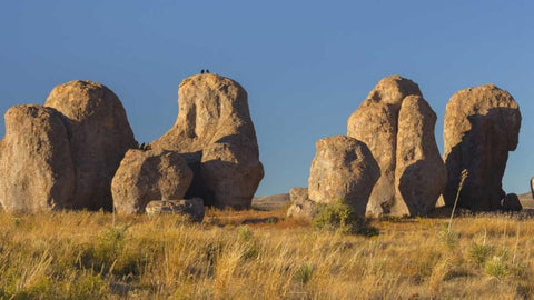 New Mexico, City of Rocks SP Ravens on a boulder Black Ornate Wood Framed Art Print with Double Matting by Paulson, Don