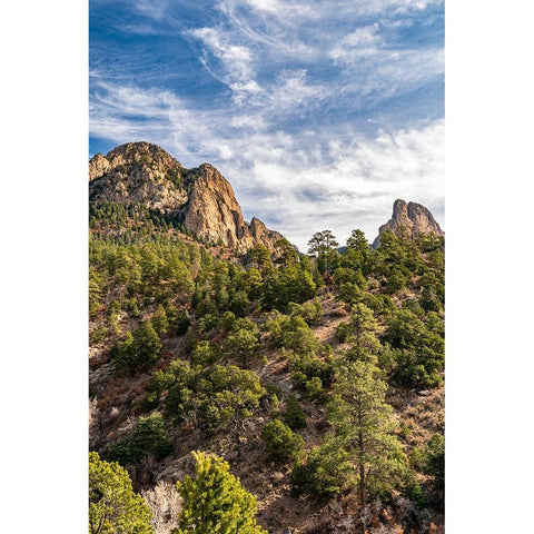 USA-New Mexico-Sandia Mountains-Mountain and forest landscape White Modern Wood Framed Art Print by Jaynes Gallery