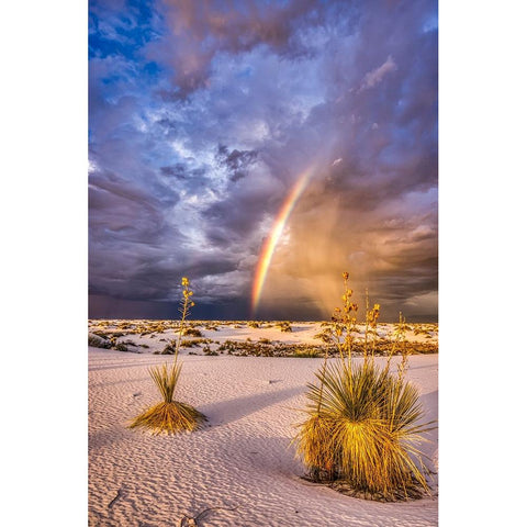 USA-New Mexico-White Sands National Park Thunderstorm rainbow over desert Gold Ornate Wood Framed Art Print with Double Matting by Jaynes Gallery