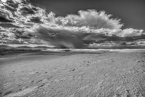 USA- New Mexico- White Sands National Park. Black and white Black Ornate Wood Framed Art Print with Double Matting by Jaynes Gallery