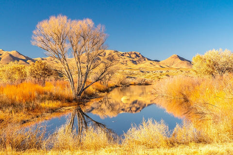 USA- New Mexico- Bosque Del Apache National Wildlife Refuge. Landscape with pond and mountains. White Modern Wood Framed Art Print with Double Matting by Jaynes Gallery