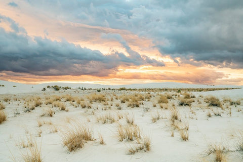 USA- New Mexico- White Sands National Monument. Clouds over sand dunes. Black Ornate Wood Framed Art Print with Double Matting by Jaynes Gallery