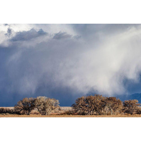 Winter storms in the Manzano mountains-New Mexico Black Modern Wood Framed Art Print by Pryor, Maresa