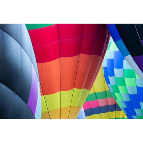 Mass Ascension Albuquerque International Balloon Fiesta-Albuquerque-New Mexico Gold Ornate Wood Framed Art Print with Double Matting by Pryor, Maresa