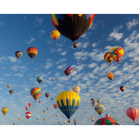 Mass Ascension Albuquerque International Balloon Fiesta-Albuquerque-New Mexico Black Modern Wood Framed Art Print by Pryor, Maresa