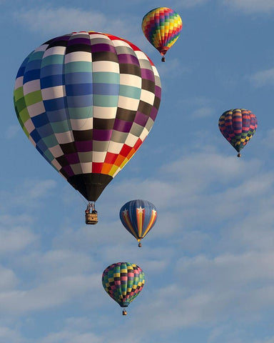 Mass Ascension Albuquerque International Balloon Fiesta-Albuquerque-New Mexico White Modern Wood Framed Art Print with Double Matting by Pryor, Maresa