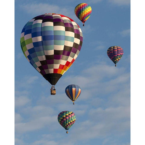 Mass Ascension Albuquerque International Balloon Fiesta-Albuquerque-New Mexico Black Modern Wood Framed Art Print by Pryor, Maresa