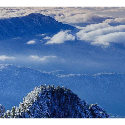 View from the Sandia Mountain Wilderness-New Mexico Gold Ornate Wood Framed Art Print with Double Matting by Pryor, Maresa