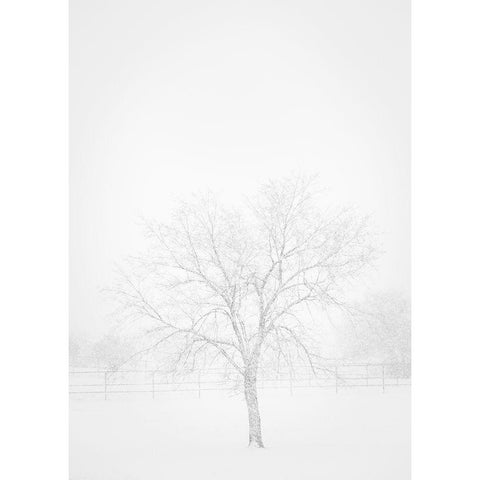 Snowscape in New Mexico Black Modern Wood Framed Art Print by Pryor, Maresa