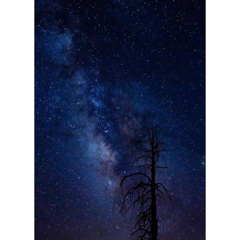 Milky way over the Carson National Forest-Tres Piedras-New Mexico Black Modern Wood Framed Art Print by Pryor-Luzier, Maresa