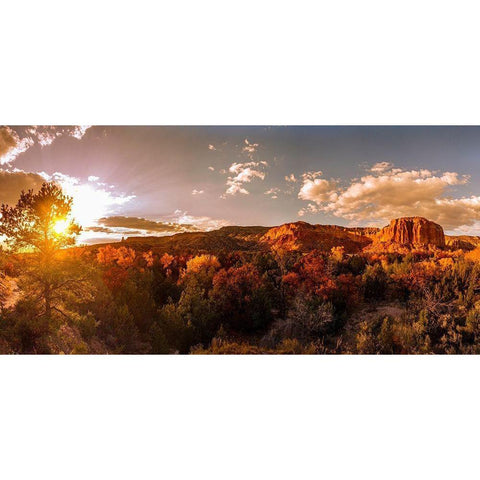 Sunset and fall colors New Mexico Gold Ornate Wood Framed Art Print with Double Matting by Norring, Tom