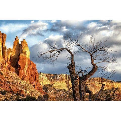 Dead tree and Fall Colors in New Mexico-USA Black Modern Wood Framed Art Print by Norring, Tom