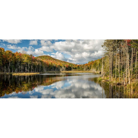 USA-New York-Adirondacks Autumn afternoon at Raquette Brook Black Modern Wood Framed Art Print by Collins, Ann