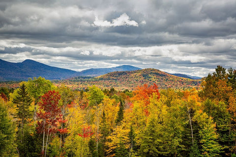 USA-New York-Adirondacks Indian Lake-Fall color at overlook along Route 28 Black Ornate Wood Framed Art Print with Double Matting by Collins, Ann