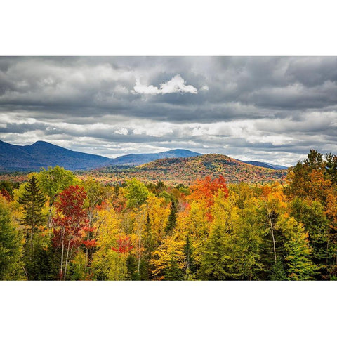 USA-New York-Adirondacks Indian Lake-Fall color at overlook along Route 28 Gold Ornate Wood Framed Art Print with Double Matting by Collins, Ann