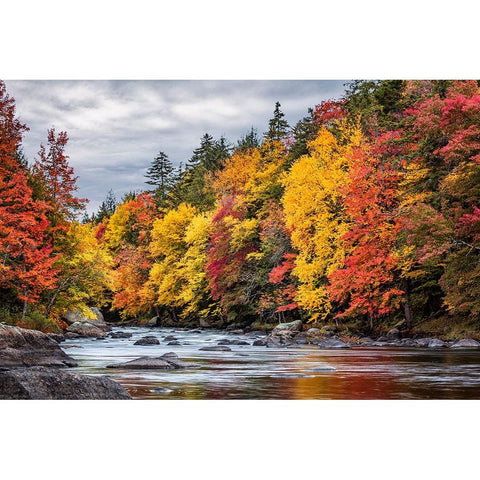 USA-New York-Adirondacks Long Lake-autumn color along the Raquette River Black Modern Wood Framed Art Print by Collins, Ann