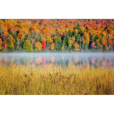USA-New York-Adirondacks Lake Placid-morning sun at Connery Pond White Modern Wood Framed Art Print by Collins, Ann