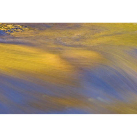 NY, Inlet Autumn reflection on flowing water Black Modern Wood Framed Art Print by OBrien, Jay