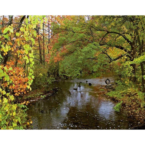 New York Tire swing hangs over Brant Creek Black Modern Wood Framed Art Print by Terrill, Steve
