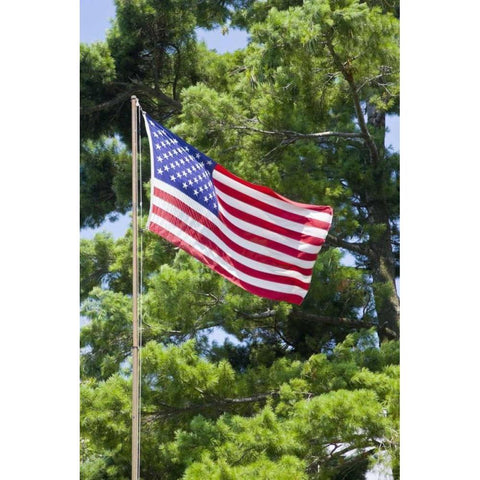 NY, St Lawrence River American flag on flagpole Gold Ornate Wood Framed Art Print with Double Matting by Lord, Fred