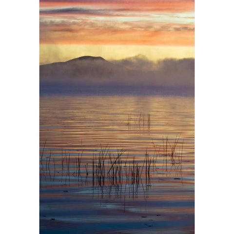 New York, Adirondack Mts, Autumn on Raquette Lake Black Modern Wood Framed Art Print by Rotenberg, Nancy