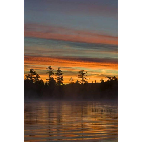 New York, Adirondack Mts, Autumn on Raquette Lake White Modern Wood Framed Art Print by Rotenberg, Nancy