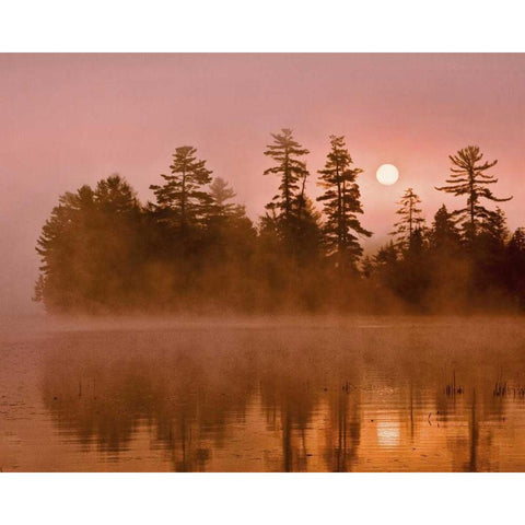 USA, New York, Adirondack Park Sunrise on a lake Black Modern Wood Framed Art Print with Double Matting by OBrien, Jay