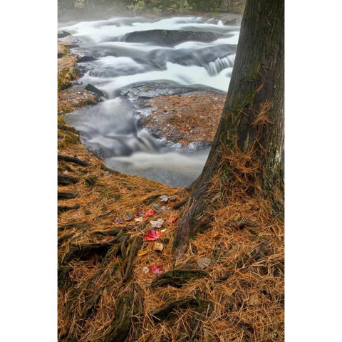 USA, New York, Inlet Mist over rushing stream Gold Ornate Wood Framed Art Print with Double Matting by OBrien, Jay