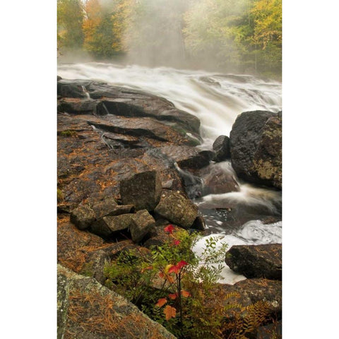 USA, New York, Inlet Mist over rushing stream Black Modern Wood Framed Art Print by OBrien, Jay